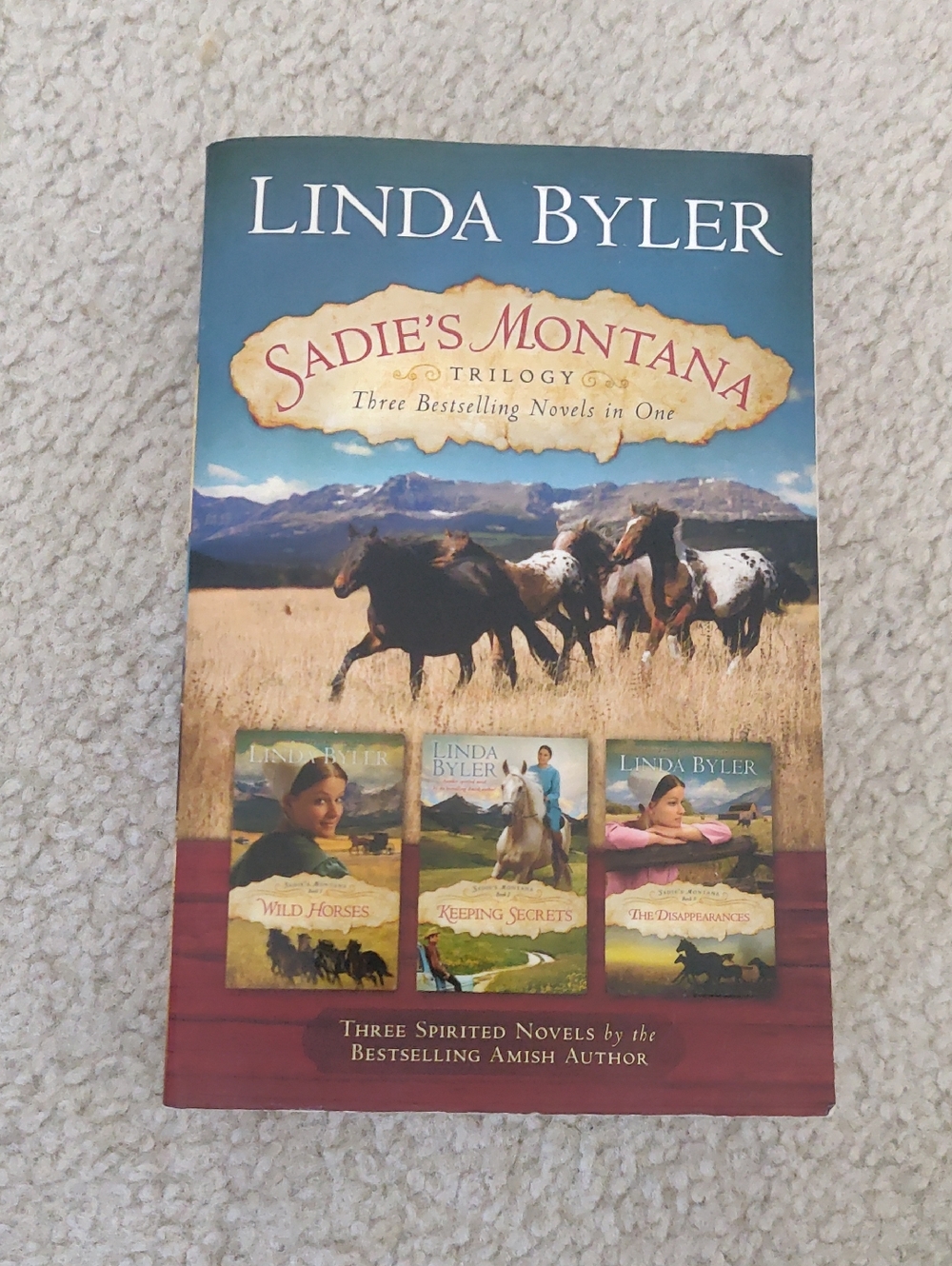 Linda Byler Sadie's Montana Trilogy Paperback 3 In One Book Western Y2K Reading